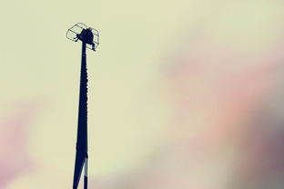 最好的超短节手竿，超短节鱼竿十大排名