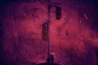 目前中国厉害道士,中国当代最神秘的道士是