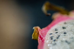 世界嘴甜食物排名前十是什么，嘴巴最甜