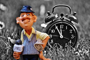 历届世界杯最佳进球前十，世界杯历史最佳进球