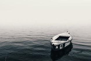 中国最大轮渡船，中国最豪华渡轮