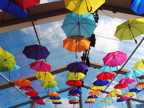 世界上最漫长的雨伞，世界上最长的雨下了多少天