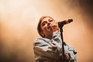 老外评中国最火的歌星,外国网友评论中国歌手