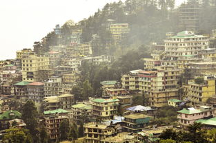 中国最神奇农村,中国最神奇的村庄80人