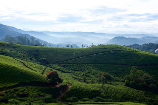 中国哪个省的河流最干净,中国哪个省的河流最干净