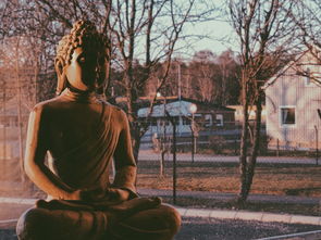 古代人崇拜什么动物，中国古人最崇拜什么神