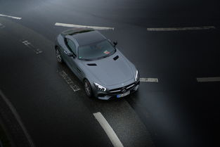 全世界最稀有的跑车,世界上最稀罕的车