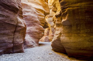 世界上最危险的话,世界上最危险的嘴巴