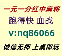 【从容不迫】一元一分红中麻将跑得快@火爆全网