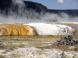 最便宜的矿物质水,世界上最便宜的矿物