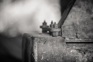 世界上最容易忘的东西，世界上最难忘的东西是什么