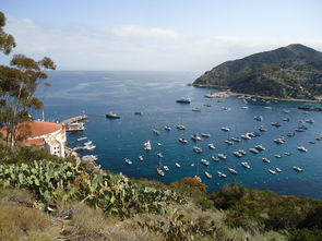 哪种稀土是中国特有的，中国哪种稀土最稀缺