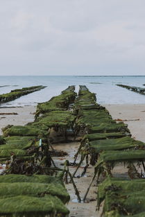 中国那片土地污染最，全国土地污染的地方