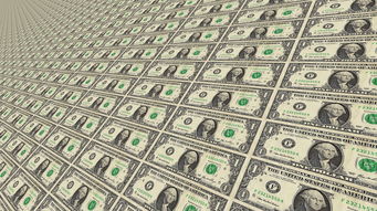 世界上最豪华的货币是什么，世界上最豪华的货币