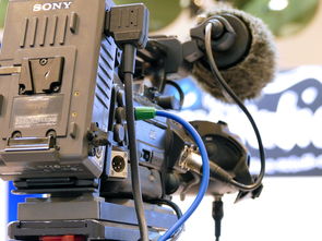 反馈抑制器十大排名，反馈抑制器哪个牌子好