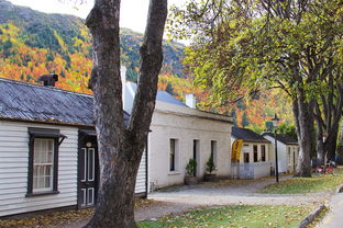 重庆茶室十大排名品牌，重庆最出名茶馆