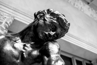 世界上最伟大的园丁，世界上最伟大的十个人